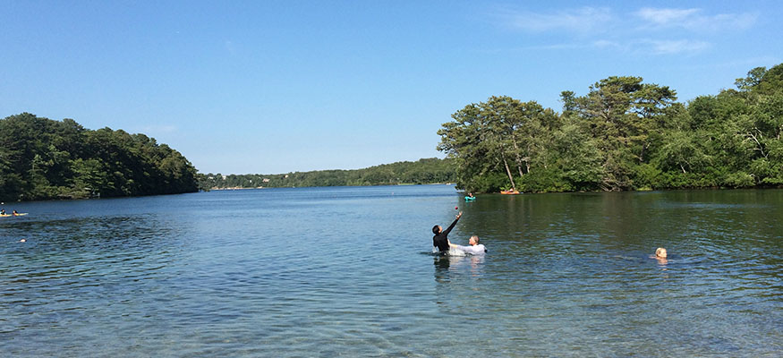 Sheep Pond Sheep Pond